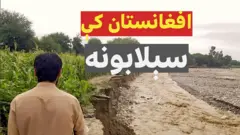 د افغانستان ختیځ ننګرهار ولایت مرکز او ځینو ولسوالیو کې د تېز باران له کبله سېلابونه راوتلي چې زرګونه جرېبه کرنیزه ځمکه یې تخریب او فصلونه یې له منځه وړي.