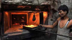 लाकूड कोळसा बेकरी बंद करण्याच्या निर्णयाने कशाकशावर परिणाम होईल? वाचा