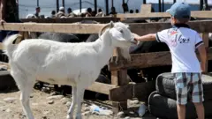 Эчки ва бола