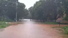 தென் மாவட்டங்களில் கனமழை