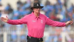 மகளிர் உலகக் கோப்பை, நடுவர் சூ ரெட்ஃபெர்ன், நடுவர், கிரிக்கெட், நடுவர்