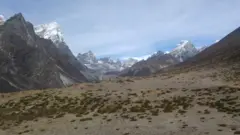 رشد علف و درختچه ها در دره کودمو در منطقه اورست