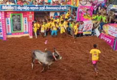 அலங்காநல்லூர் ஜல்லிக்கட்டில் தேர்வு செய்யப்பட்ட வெற்றியாளர்களுக்குள் குழப்பம் 