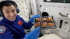 จีน อวกาศ ย่างไก่