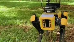 ਰੋਬੋਟਡੌਗ