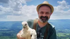 medenica
