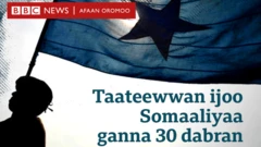 taateewwan ijoo Somaliyaa