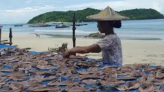 ငါးဖမ်းထွက်နိုင်တာနည်းလို့ ငါးဖမ်းဆီးရမှုတွေကျဆင်း