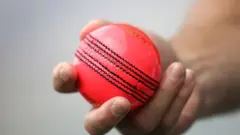 पिंक बॉल