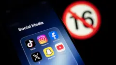 Social Media