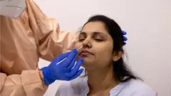 নমুনা সংগ্রহ