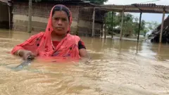 આલેહા બેગમ