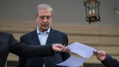 علی ربیعی