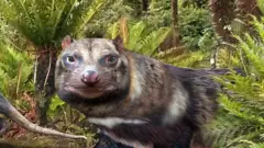 Ilustración de Orretherium tzen