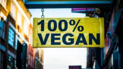 Vegan beslenme