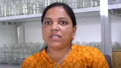 તાપી