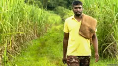 प्रातिनिधिक फोटो