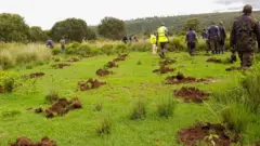 Forestry officials after planting trees in central Kenya