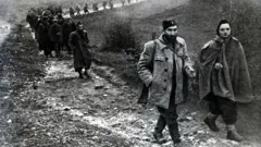 Mitra Mitrović