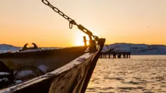 اعتاد تجار الرقيق نقلهم في سفن من أفريقيا إلى الولايات المتحدة