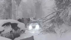 پامستان