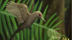 Oculudentavis