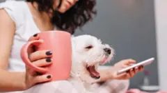 النظرية التي تفسر مرور الوقت ببطء منذ تفشي فيروس كورونا