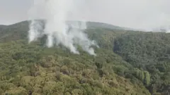 orman yangını