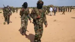 Wapiganaji wa a-lshabab
