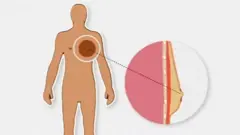 मानवशरीर