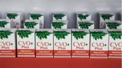 Ufanisi wa dawa ya mitishamba haujathibitishwa licha ya majaribio kadhaa.