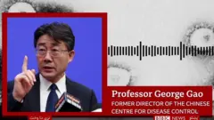 کورونا وېروس