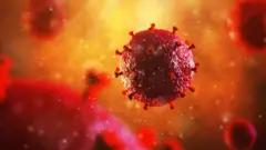 Ilustração gráfica do vírus HIV