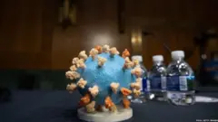 ਕੋਰੋਨਾਵਾਇਰਸ ਦਾ ਮਾਡਲ
