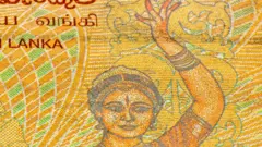 இலங்கை ரூபாய் தாளில் இருக்கும் படம்.