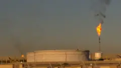 پائین بودن بهره وری انرژی و بالا بودن آلایندگی آن در ایران، باعث شده میزان گازهای گلخانه ای این کشور به اندازه گازهای گلخانه ای یک غول اقتصادی مثل آلمان باشد که بر خلاف ایران زغال سنگ زیادی هم مصرف می کند که خود جزو آلاینده ترین سوخت های فسیلی است.
