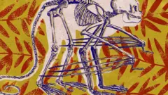 Los animales trepadores de árboles podrían adaptarse al aire y llegar a volar en un futuro lejano.