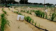 nano technology