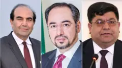 دولتي چارواکي