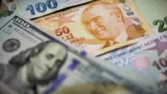 dolar/tl