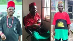 Aworan Chiwetalu