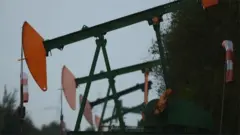 نفت