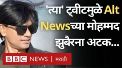 मोहम्मद झुबैर, आल्ट न्यूज