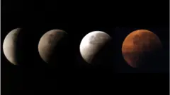 gerhana bulan