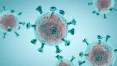 Coronavirus