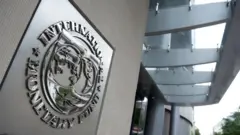 IMF