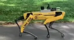 করোনাভাইরাসের মধ্যে সিঙ্গাপুরের এক পার্কে ঘুরে বেড়াচ্ছে এক রোবট কুকুর, লোকে সামাজিক দূরত্বের নিয়ম মানছে কীনা সেটা দেখা তার কাজ।