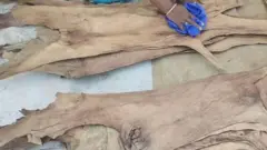 தோல் பைகள்