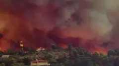 ఐలాండ్