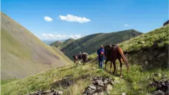 Бийик, кургак жерде вирус бат өлөт